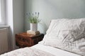 Bedroom closeup view. Striped white and beige linen pillows and blanket. Wooden bed and night stand. Blooming muscari Royalty Free Stock Photo