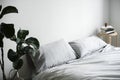 Bedroom decoration with plant and books