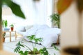 Bedroom interior with indoor plants. Trendy home Royalty Free Stock Photo