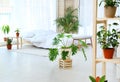 Bedroom interior with indoor plants. Trendy home Royalty Free Stock Photo