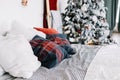 Bedroom interior with large bed and christmas tree with decorations Royalty Free Stock Photo