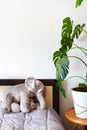 Bedroom interior in Scandinavian style.Houseplant monstera, an elephant soft toy Royalty Free Stock Photo