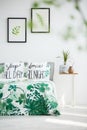 Bedroom with plant and bombilla