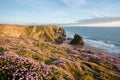 Bedruthan steps Royalty Free Stock Photo