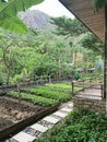 The beds in the garden at the cottage Royalty Free Stock Photo