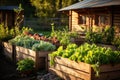 Beds in garden growing plants, herbs and vegetables