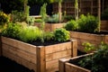 Beds in garden growing plants, herbs and vegetables