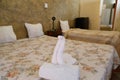 Beds with swan of towel from a hotel