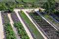 Beds with vegetables in the garden. Long, even ridges are parallel to each other. The location of the ridges on the site. View