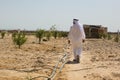 A beduin man in his farm in the desert of sinai, Egypt. Royalty Free Stock Photo