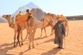 Beduin and their camels