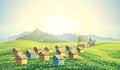 Bee apiary in the mountains landscape. Royalty Free Stock Photo