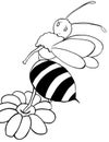 The bee b/w