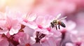 bee and beautiful pink flower spring summer season. Generative Ai Royalty Free Stock Photo