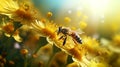 bee and beautiful yellow flower spring summer. generative AI Royalty Free Stock Photo