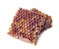 Bee bread granules and a piece of honey cells are isolated on a white background. Natural remedy for immunity enhancement. Beekeep