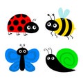 Bee bumblebee, butterfly, snail cochlea, lady bug ladybird flying insect icon set. Ladybug. Cute cartoon kawaii funny baby