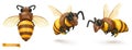 Bee, bumblebee. 3d cartoon vector icon set. Plasticine art illustration Royalty Free Stock Photo