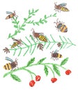 Bee or bumblebee on plant branch with red berries. Doodle hand drawn black yellow striped flying insect.