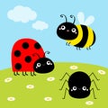 Bee bumblebee, spider, ladybug ladybird, lady bug. Insect set. Green grass daisy meadow, sky with clouds. Cute cartoon kawaii Royalty Free Stock Photo