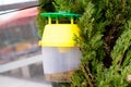 Bee bumblebee trap full of dead insects hanging from garden tree