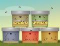 Bee colonies in beehives