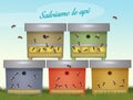 Bee colonies in beehives