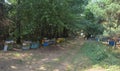 Bee colony near the forest road. Colorful beehives. Bees farming