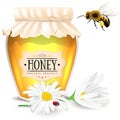 Bee, daisies and glass of honey