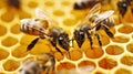 A bee delicately transferring royal jelly to a honey cell, ensuring the future of the hive.