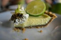 bee on the edge of a key lime pie piece Royalty Free Stock Photo