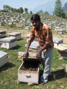 Bee farm in India