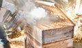 Bee farming, wood box and smoke with nature and beekeeping, honey extraction and natural product outdoor. Farmer