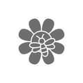 Bee on flower, apiary, beekeeping grey icon.