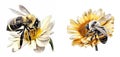Bee with flower oil painting style isolated on white background Royalty Free Stock Photo