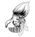 Bee on a flower on white background. vector monochrome illustration Royalty Free Stock Photo