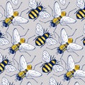 Bee fly background pattern Royalty Free Stock Photo