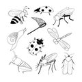 bee, fly, ladybug, mosquito, butterfly net, snail, locust, moth set icon. hand drawn doodle style. vector, minimalism