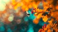 A bee flying in the air near some leaves Royalty Free Stock Photo