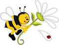 Bee flying holding flower Royalty Free Stock Photo