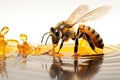 bee flying over golden honey drop macro, generative AI Royalty Free Stock Photo