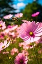 Bee flying over pink flower field with bee. Generative AI Royalty Free Stock Photo