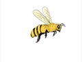 Bee Flying To Side Color Drawing