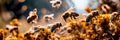 Bee foraging for nectar, the role of bees in pollination and environmental health. Generative ai Royalty Free Stock Photo