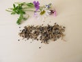 Bee friendly seed mixture and wildflowers for wild bees Royalty Free Stock Photo
