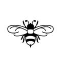 Bee glyph icon.