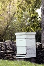 Bee Hive Royalty Free Stock Photo