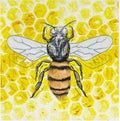 Bee handraw style vector illustration