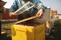 Bee hive detail. Beekeeper Inspecting Bee Hive after winter