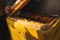 Bee hive detail close up. Beekeeper Inspecting Bee Hive after winter Royalty Free Stock Photo